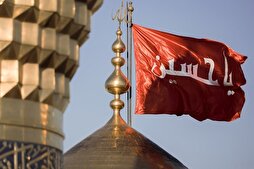 أنصار الحسين(ع)... الوعي والبصيرة والتضحية والفداء