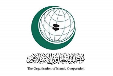 İslam Əməkdaşlıq Təşkilatı Qəzzada soyqırımın şiddətlənməsini qınadı