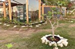 Visitors Welcome Quranic Botanical Garden at Expo 2023 Doha
