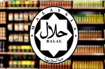 Halal Certification Improvement Leads to Revenue Growth in Malaysia
