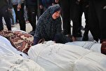 Israeli Massacres Continue in Gaza with 100 Palestinians Killed in 24 Hours
