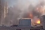 WHO Slams Israeli Attack on Gaza Hospital, Urges End to the 'Horror'