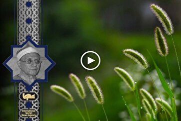 Heavenly Recitations: Verse from Surah Yunus by Ahmad Shabib