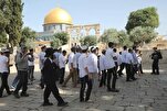 Israeli Occupation Allowed 53,000 Extremists Storm Al-Aqsa Mosque in 2024