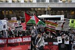New York Demonstrators Demand Release of Gaza Hospital Director