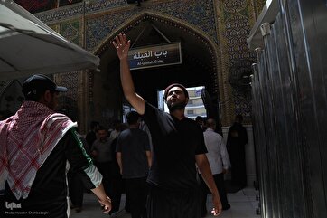 In Pictures: 2025 Arbaeen Pilgrims Make Stop at Imam Ali Shrine