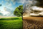 Un erudito cita las enseñanzas del Santo Profeta sobre la protección del medio ambiente