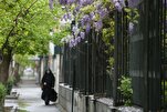 Sostenibilidad ambiental en las enseñanzas islámicas: Una obligación sagrada