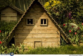 جشنواره عکاسی گل لاله - پارک چمران کرج