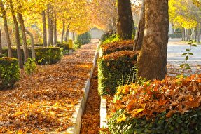 عکس | طبیعت رنگارنگ پردیس دانشگاه نازلو ارومیه