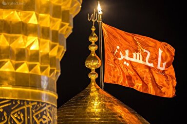 فیلم | تنها میان دشمن