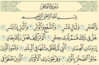 صوت | تلاوت ترتیل «سوره فجر» با صوت احمد نعینع