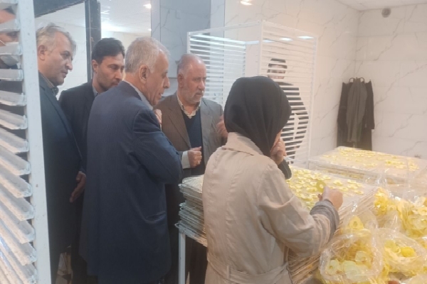 افتتاح کارگاه میوه خشک در سلماس