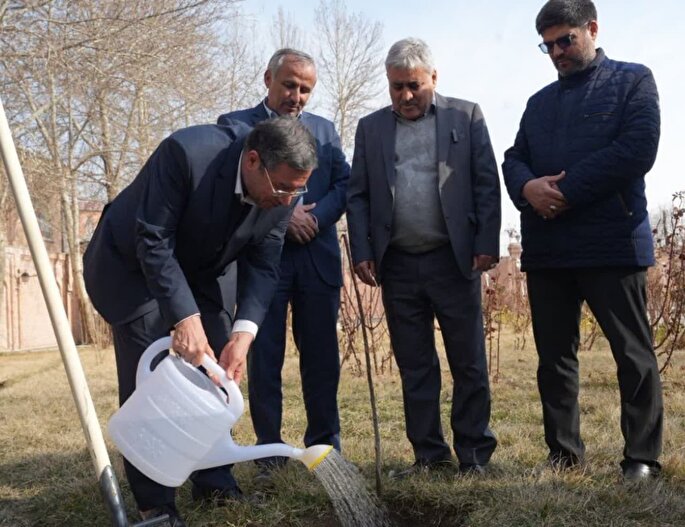 استاندار آذربایجان‌غربی بر لزوم توسعه فرهنگ درختکاری تاکید کرد