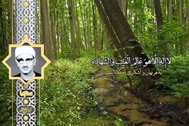 فیلم | فراز ماندگار «منشاوی» از آیات پایانی سوره حشر