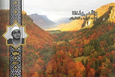 فیلم | فراز شنیدنی «محمود شحات» از سوره شمس