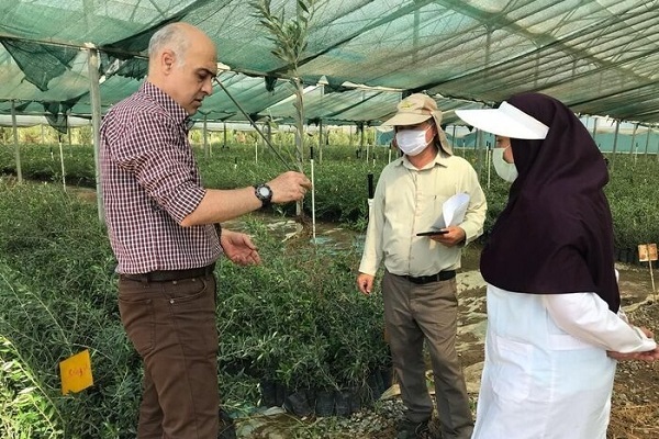 بسیج جامعه کشاورزی بسیج جامعه کشاورزی