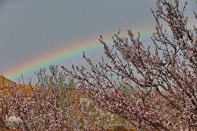 شکوفه‌های بهاری جلوه‌ای از زیبایی‌های طبیعت