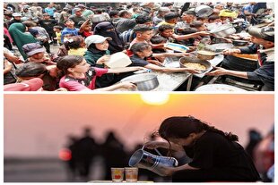 نقدی بر دوگانه اربعین یا غزه