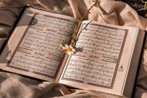 روایت متسابقان «مدهامتان» از انس با قرآن