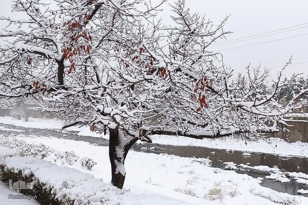 بارش نخستین برف زمستانی در ارومیه‎‎