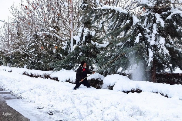 دانشگاه ارومیه در یک روز برفی‎