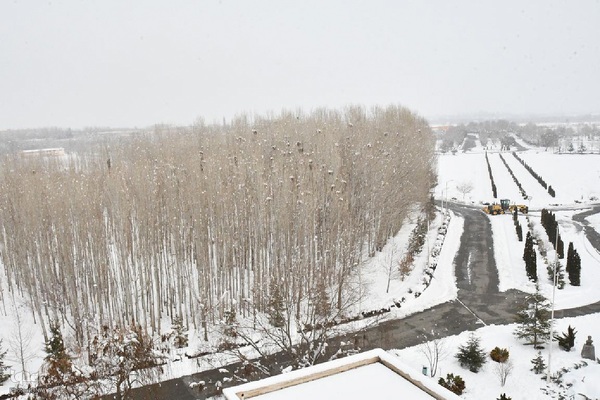 دانشگاه ارومیه در یک روز برفی‎