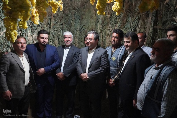 جشنواره انگور ارومیه