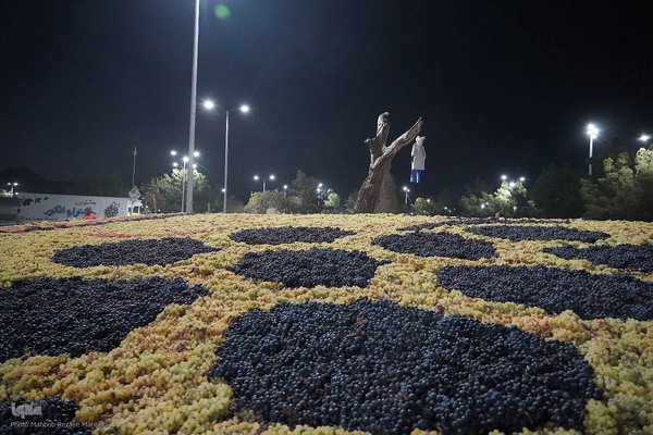 جشنواره انگور ارومیه