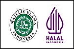 Endonezya 10 milyon helal ürünü lisanslamayı planlıyor