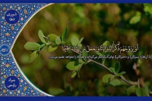 ویڈیو | قاری «جواد رفیعی»  کی تلاوت